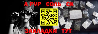 индика Кулебаки