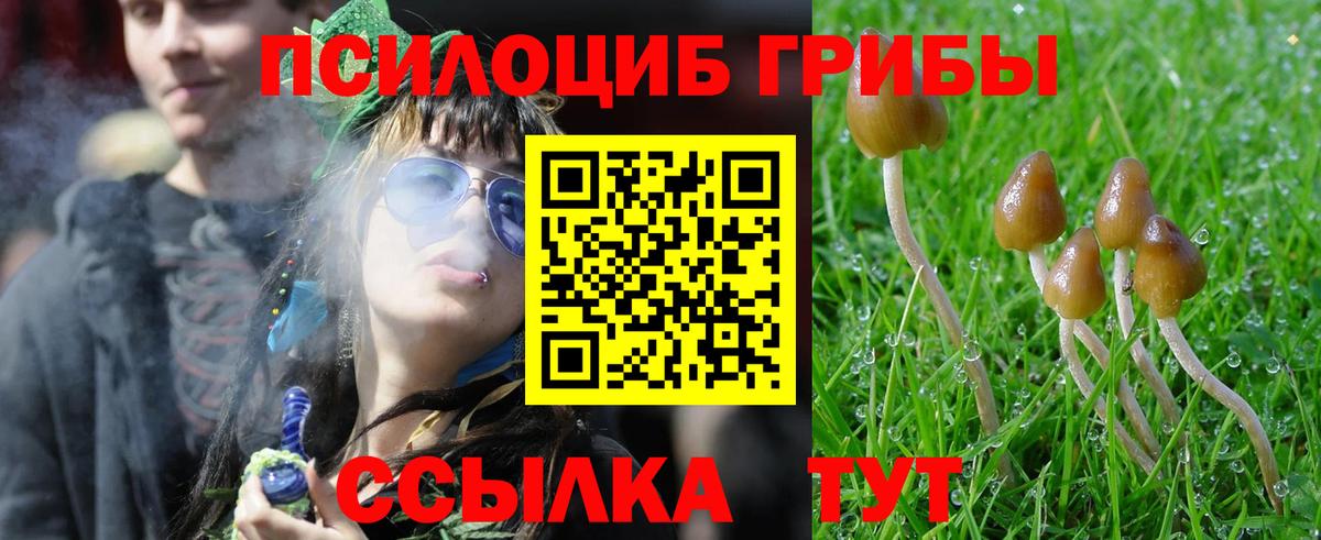 Галлюциногенные грибы Psilocybine cubensis Зеленодольск